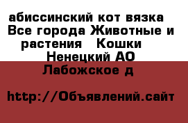 абиссинский кот вязка - Все города Животные и растения » Кошки   . Ненецкий АО,Лабожское д.